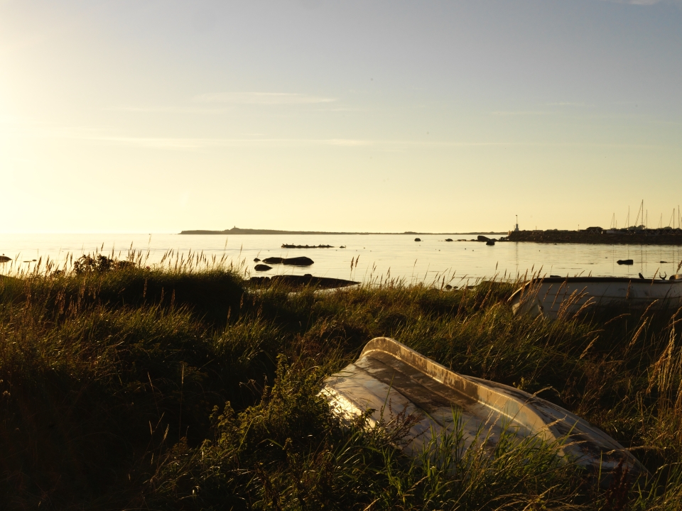 Vindsurfare vid en strand.